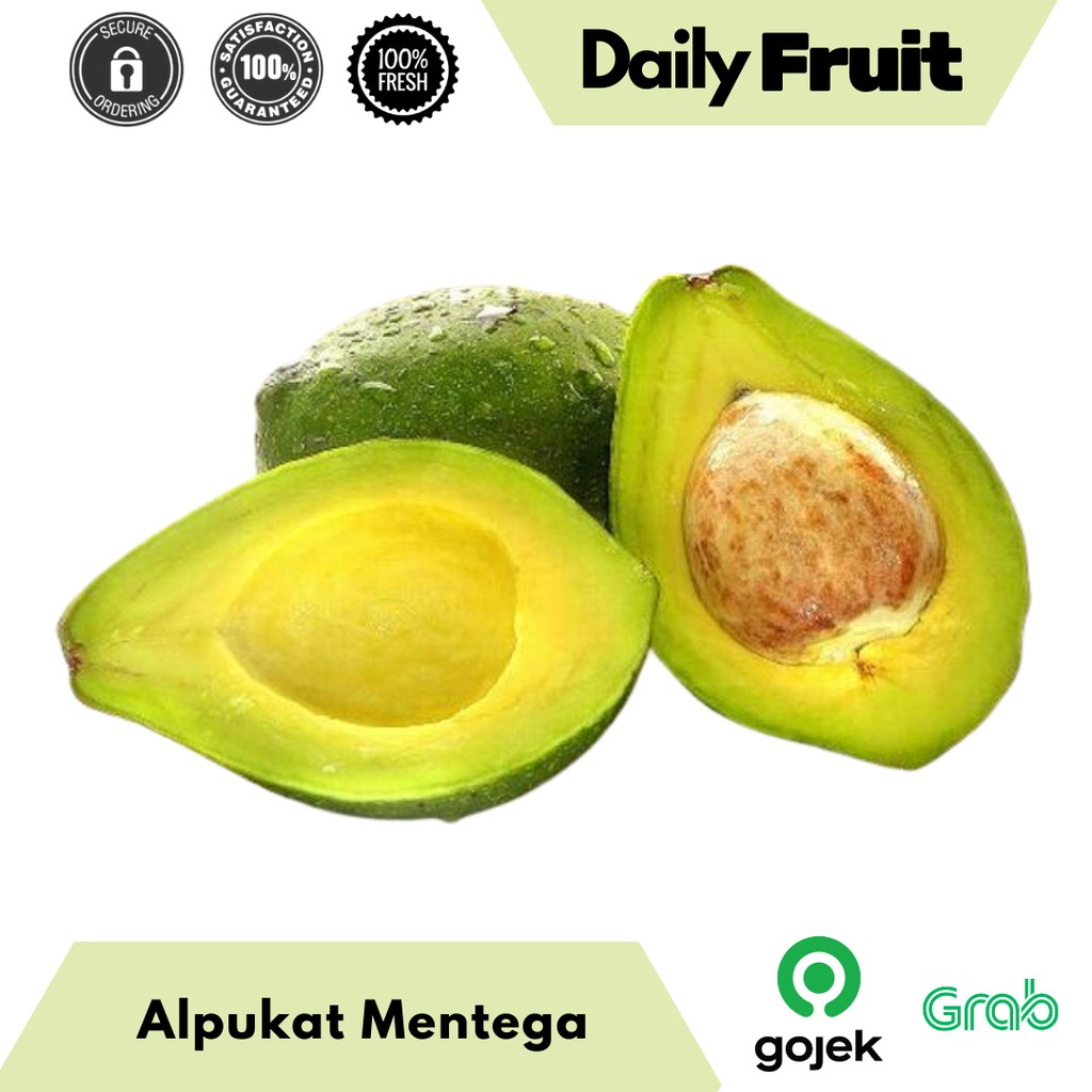 

Buah Segar Alpukat Mentega Jumbo Manis Fresh 1 Kg Berkualitas Packing Aman Rapi