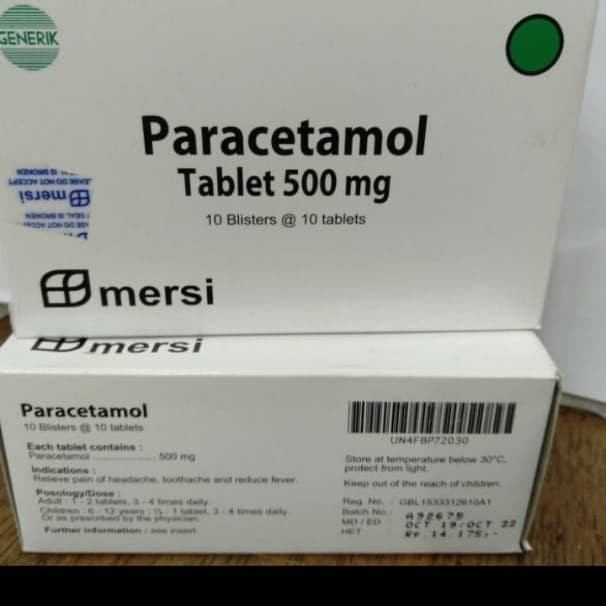 paracetamol 500 mg box 100 tablet