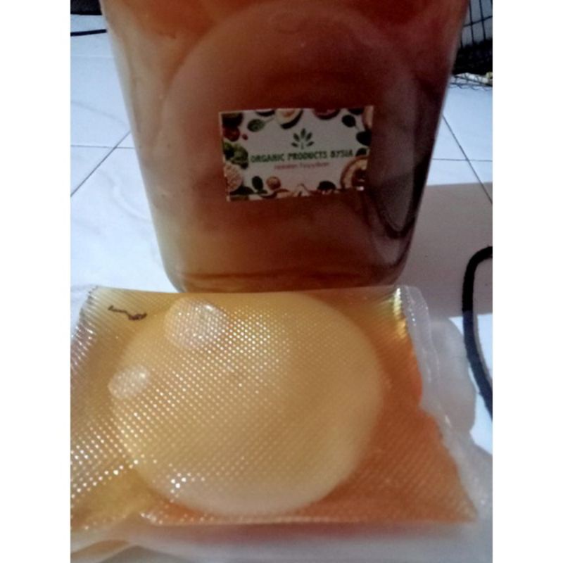 Scoby Kombucha / Jamur Dipo Large (Stok Terbatas)/Premium