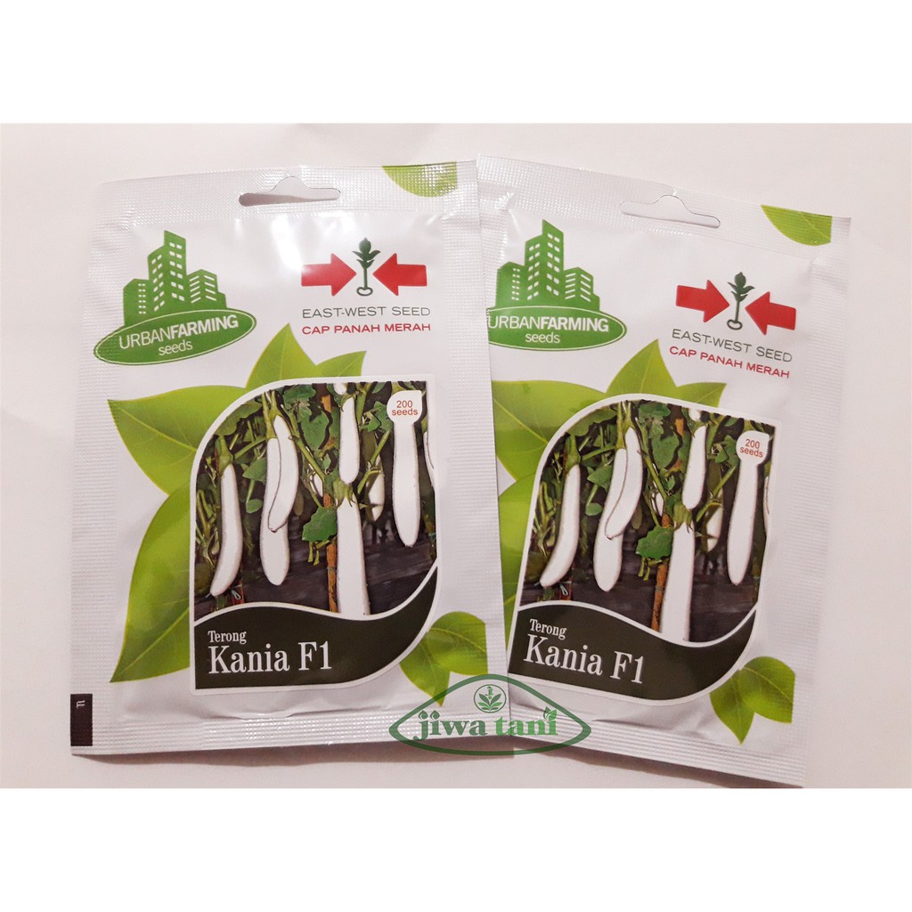 Benih Terong Putih Kania Cap Panah Merah