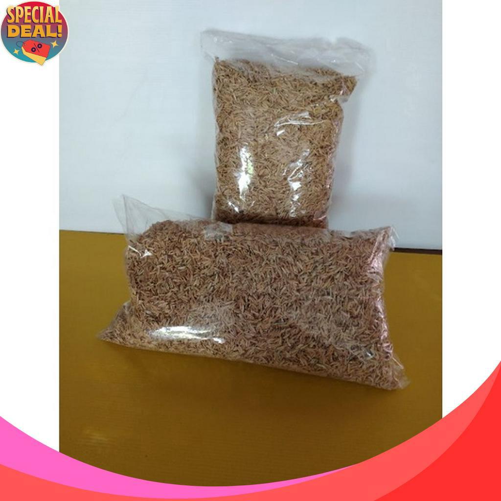 PRODUCT TERPOPULER sekam padi media tanam alas hamster 3 liter