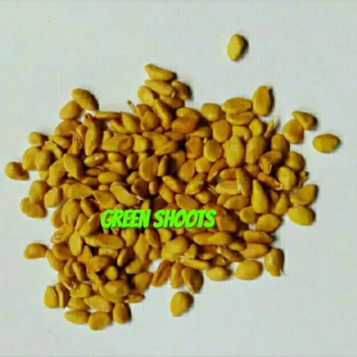 Biji Kawis Batu Kemasan 600 Biji