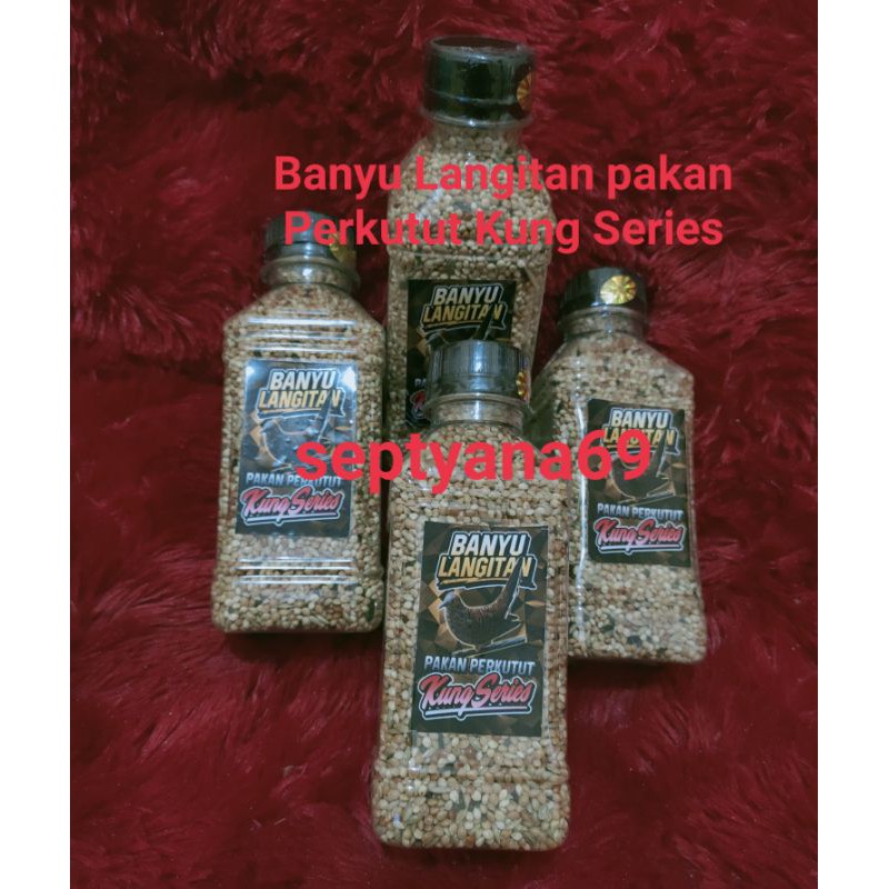 Banyu Langitan Pakan Perkutut