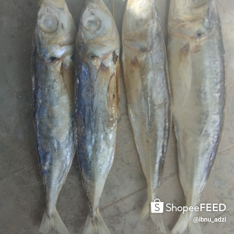 

IKAN ASIN LAYANG