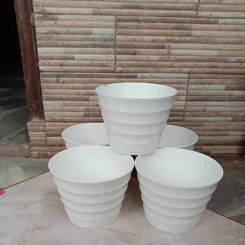 pot lovenia ukuran 20cm