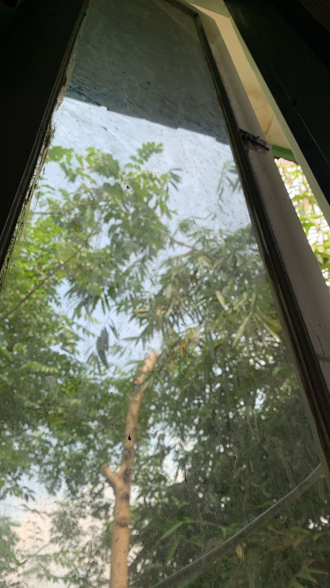 Baju Batik Wanita Batik Modern Batik Kerja Atasan Batik Xxl 3l 4l 5l