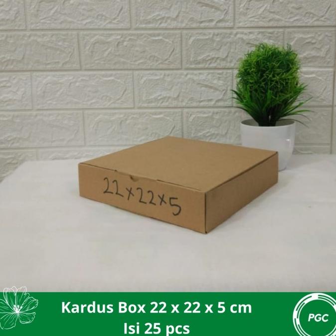 

KARDUS BOX/KARDUS PACKING/DUS BOX/DC 22X22X5 CM