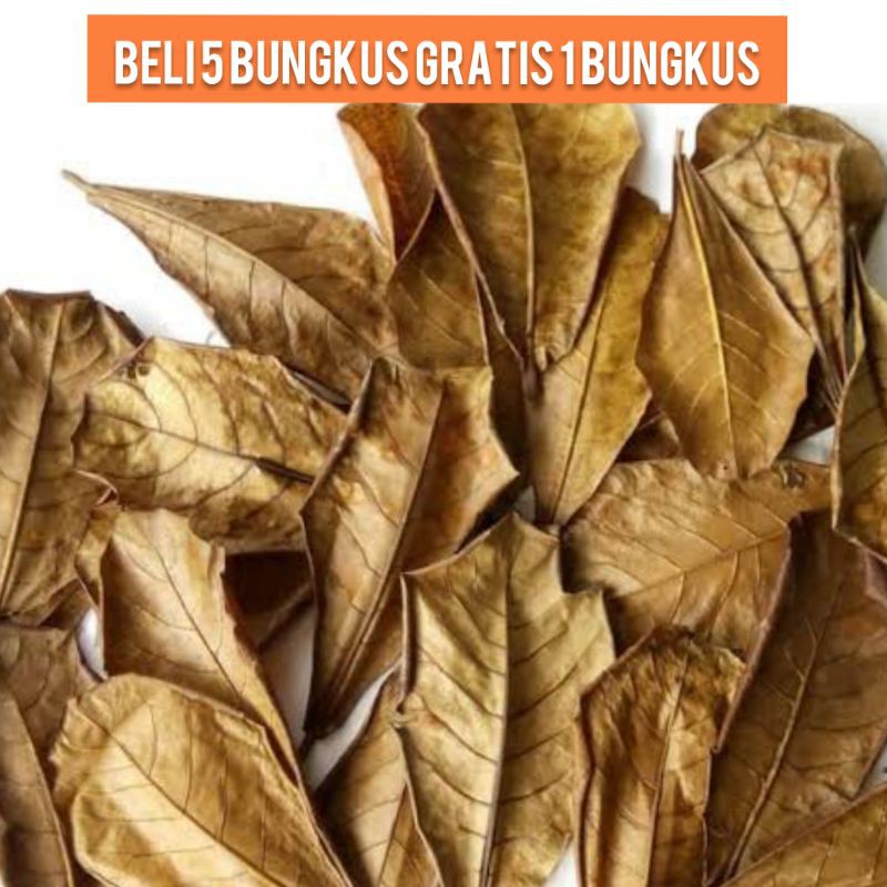 Daun Ketapang Ikan Cupang, BELI 5 GRATIS 1