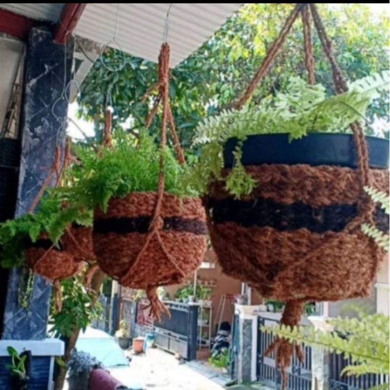 POT ANGGREK BESAR SABUT KELAPA GANTUNG