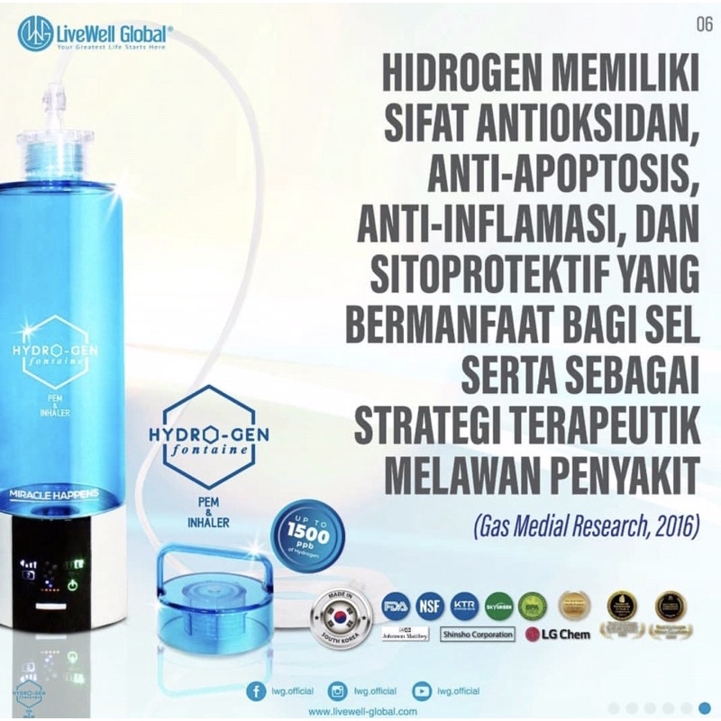 PROMO LWG Hydrogen FONTAINE (New)