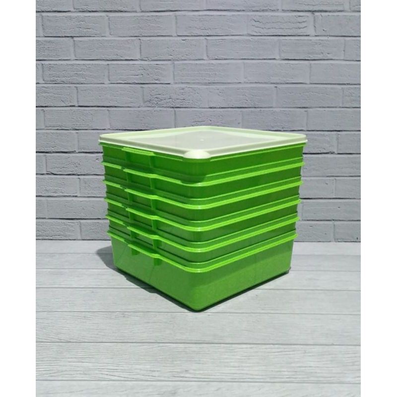 

TOPLES KUTAK LAPIS LEGIT ISI 6 PCS