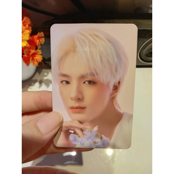 nego PHOTOCARD NCT DREAM CANDYLAB V4 JENO PC