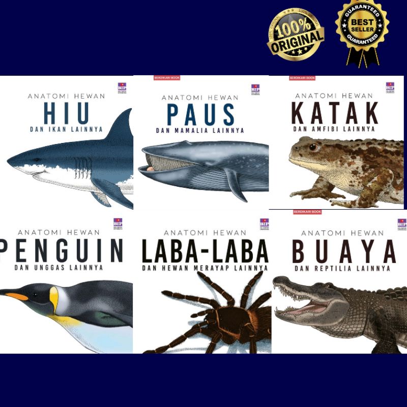 Buku anak seri anatomi hewan : hiu paus katak buaya laba-laba penguin