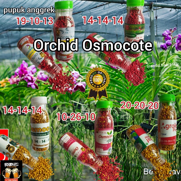 osmocote anggrek, pupuk anggrek, pupuk, osmocote