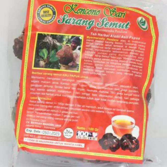 

Teh Sarang Semut HerbaL Alami Asli Papua