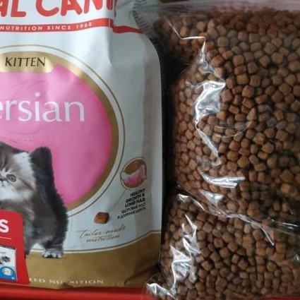 royal canin kitten persian 400gr