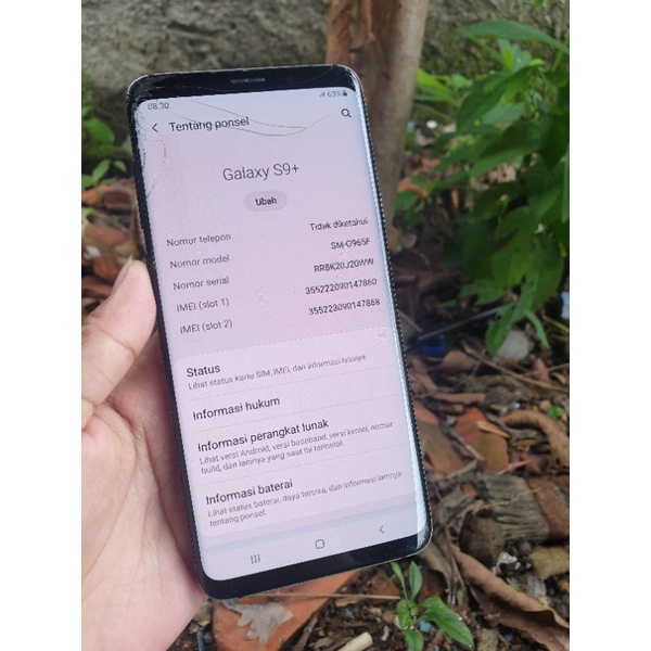 Samsung S9 plus ram 6 64 (batangan)