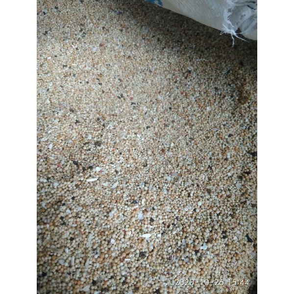 pasir bali pasir mutiara super premium1kg