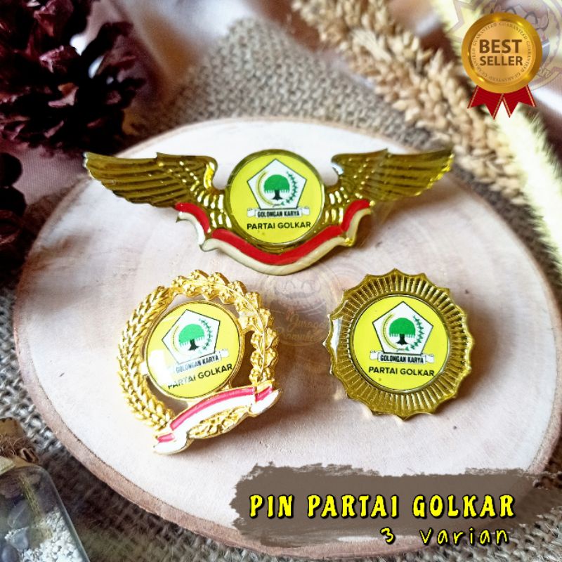 PIN PARTAI GOLKAR