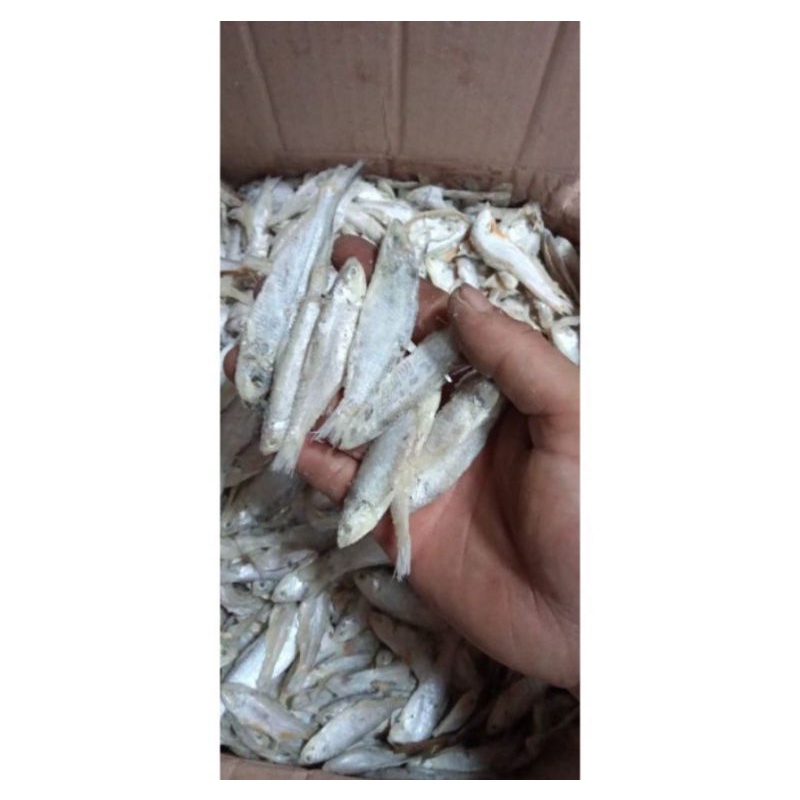 

asin bilis kering 1kg