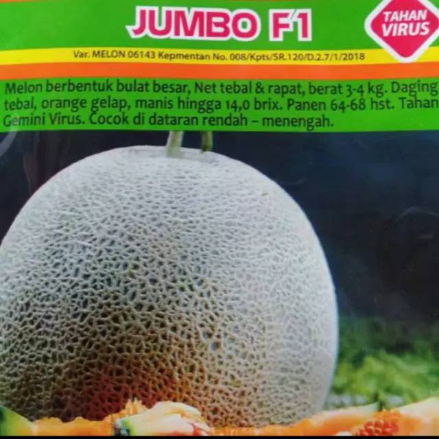Benih melon jumbo F1 repack