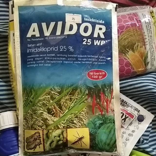 Avidor 25wp