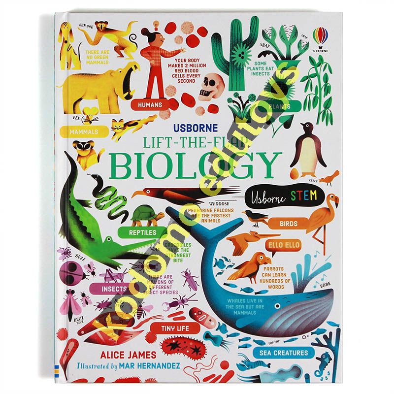 Usborne Lift-the-flap Biology (Usborne STEM)