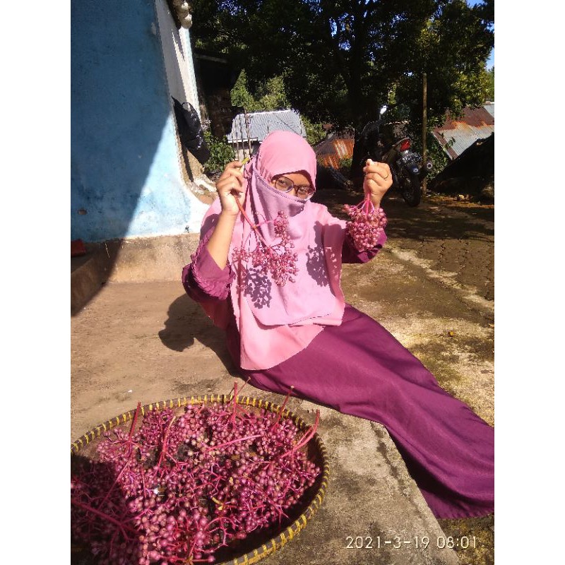 

buah parijoto promil n tingkepan