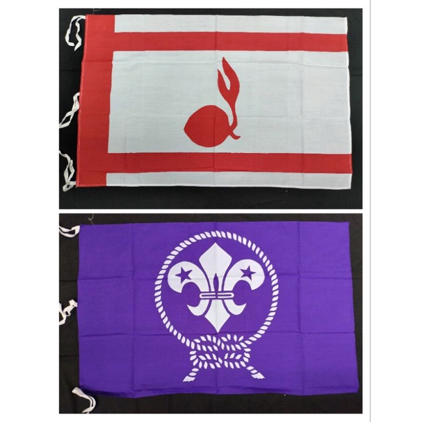 Bendera WOSM DAN TUNAS KELAPA PRAMUKA