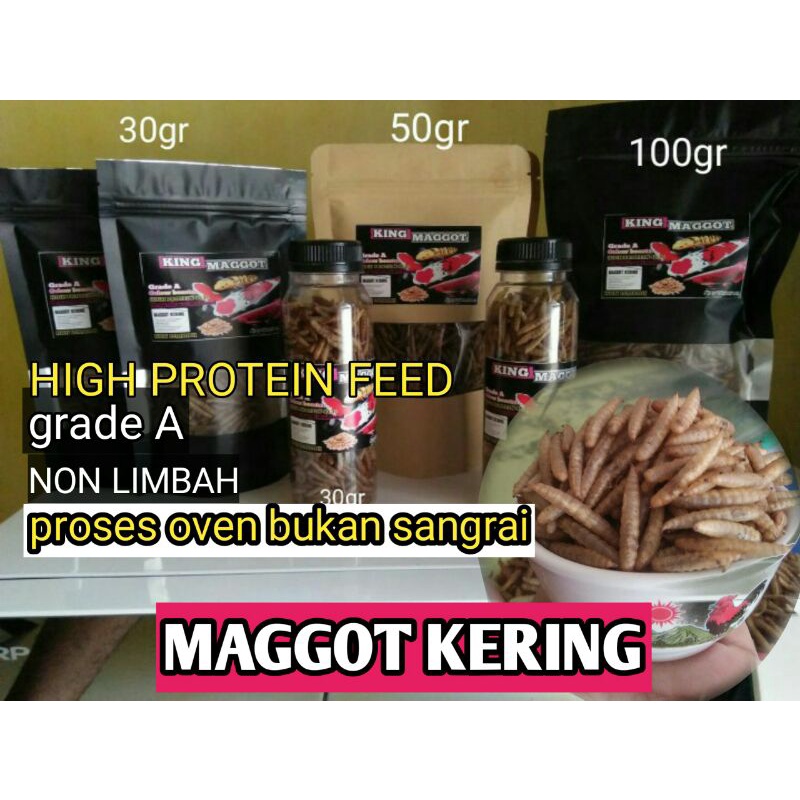 maggot kering oven bukan sangrai 100gram premium