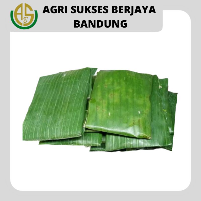 

Tempe Mendoan Mentah - 1 bundle isi 5 pack / 1 pack isi 2 lembar tempe