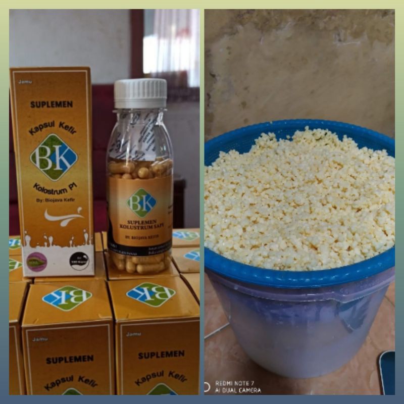 BK-PAKET HEMAT KAPSUL KEFIR COLOSTRUM 100 KAPSUL + 50g bibit kefir