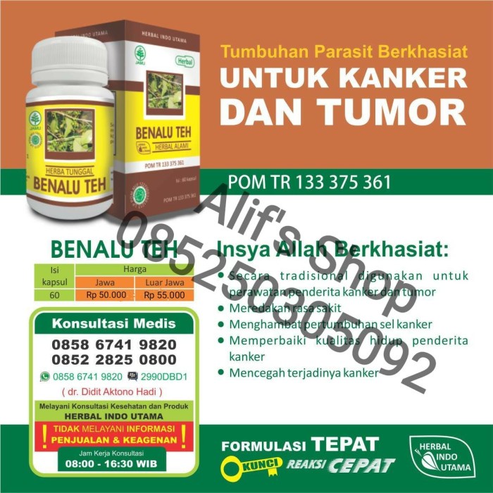 

ORIGINAL MURAH Kapsul Ekstrak Benalu Teh (Obat Herbal Kanker dan Tumor) - HIU