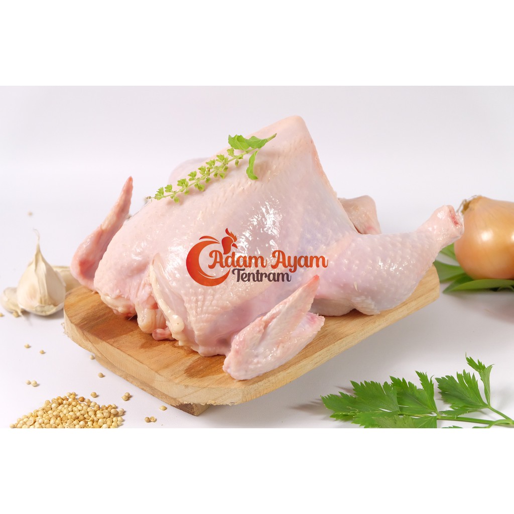 

Ayam Broiler Berbagai Ukuran