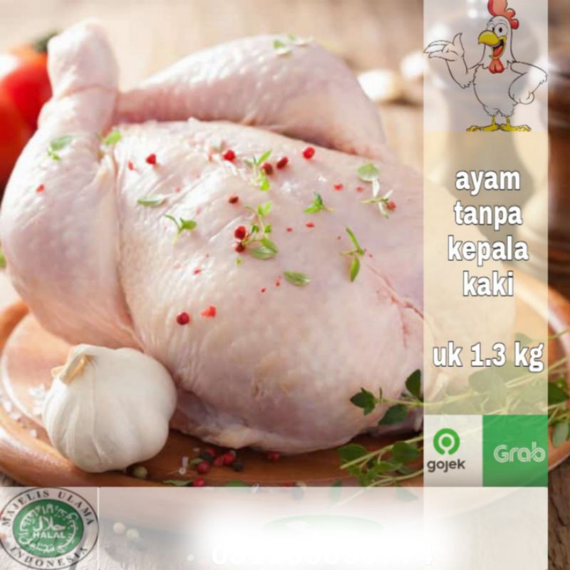 

ayam tanpa kepala kaki uk 1.3