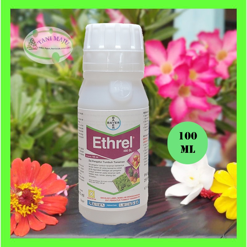 ETHREL / OBAT PEMATANG BUAH / OBAT PEMATANG PISANG