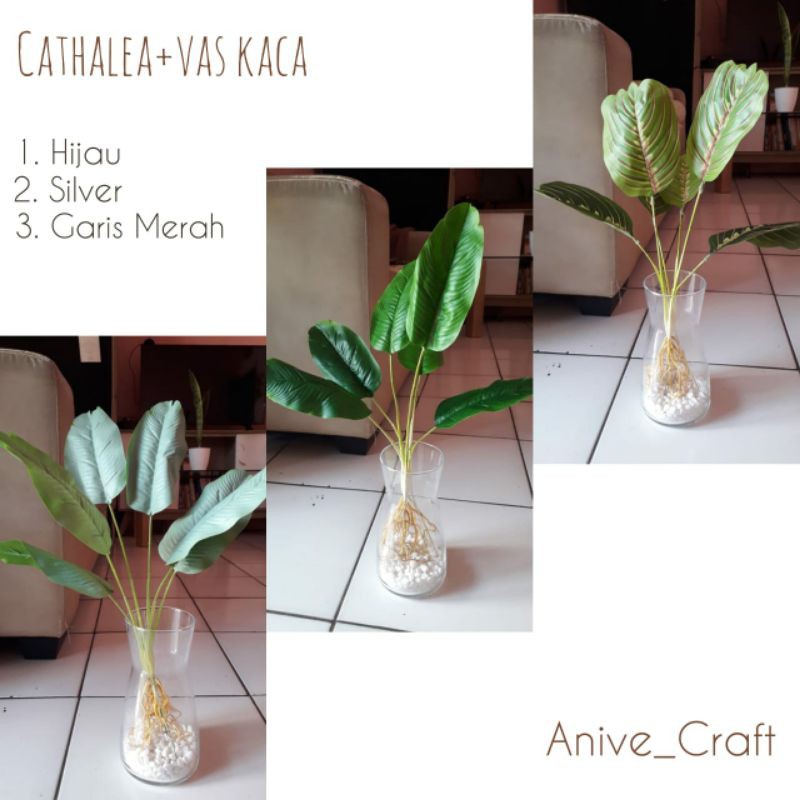 Set vas kaca + Tanaman calathea pisang-pisangan Artificial /tanaman nordic