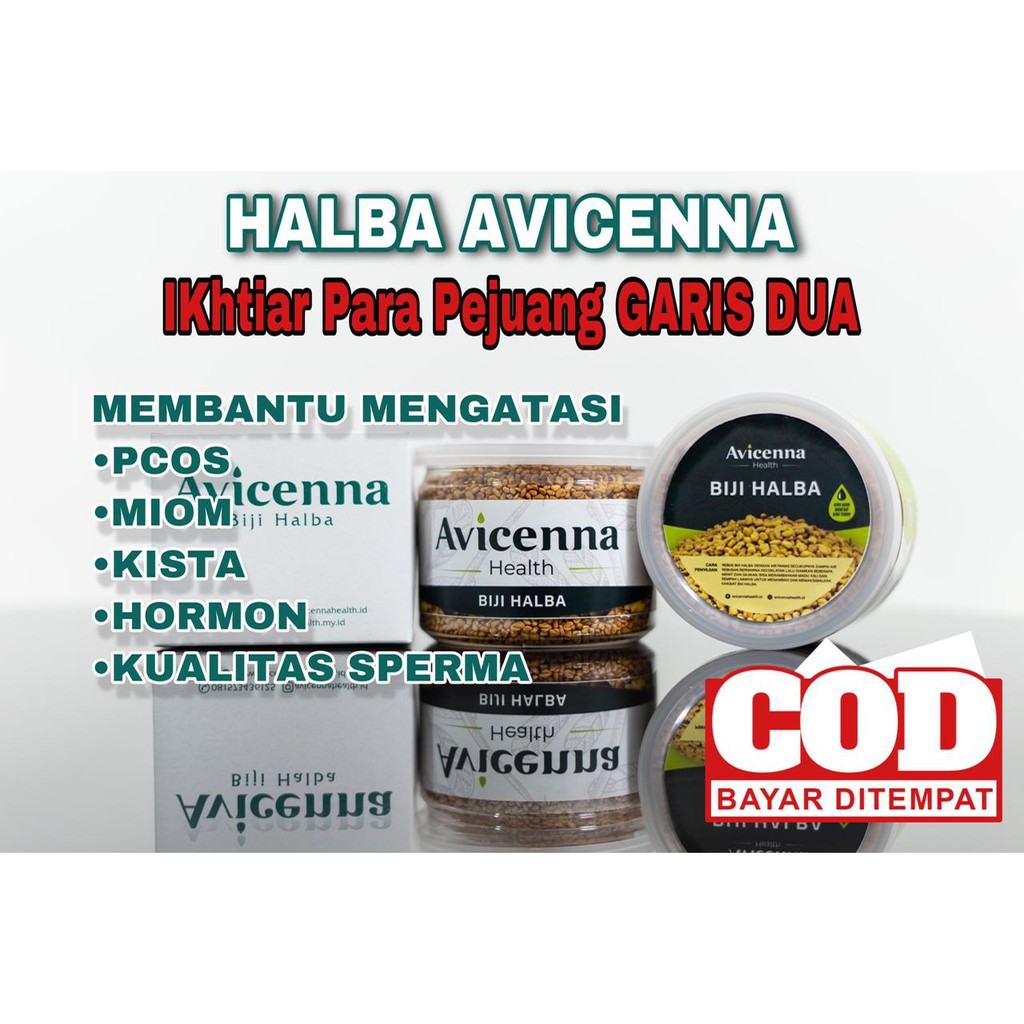 AVICENNA (BIJI HALWA)