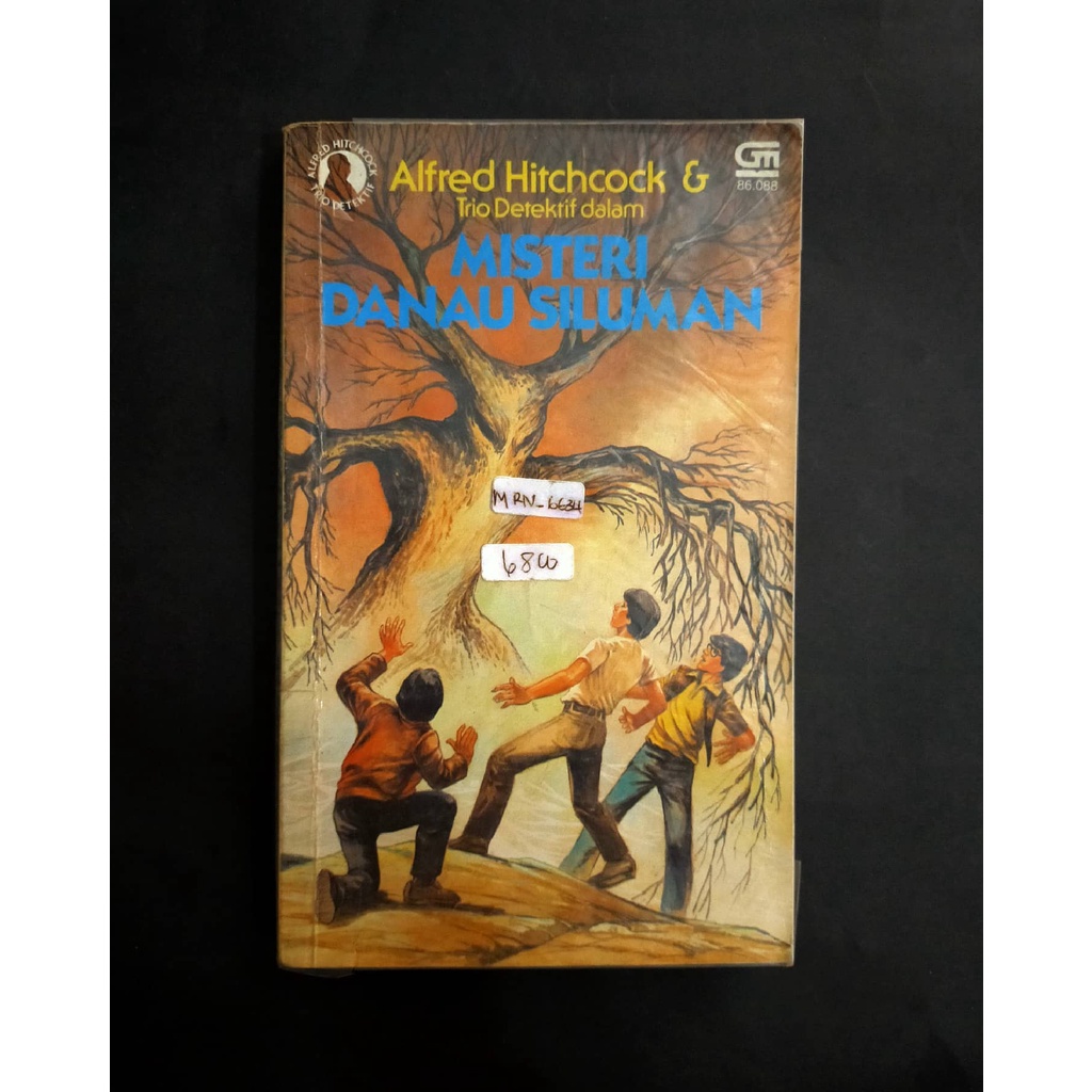 Buku Novel Serial Trio Detektif No. 19 Misteri Danau Siluman Stok 1