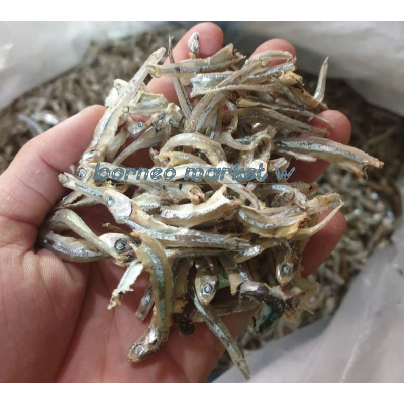 

Ikan Teri/Ikan Teri Singkawang/Ikan Teri Pulau/Ikan Teri Kalimantan