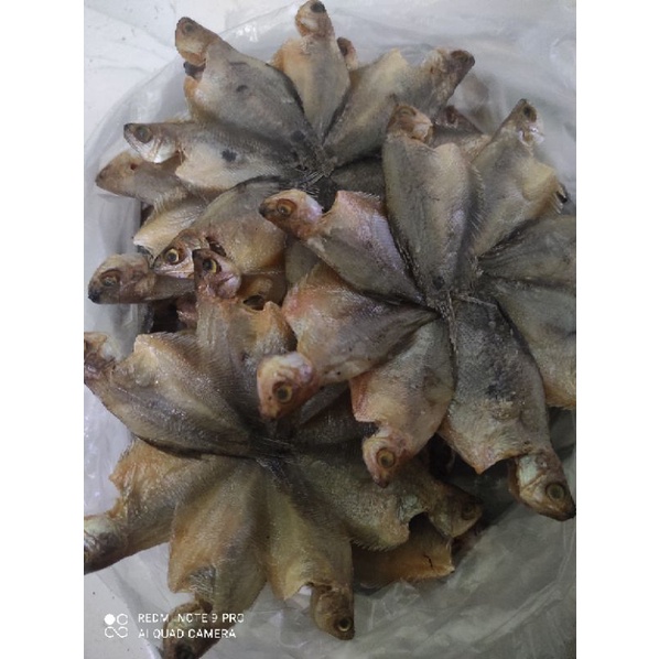 

Ikan Asin Sepat Bintang 100gr