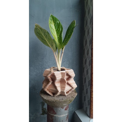 Pot bunga/kerajinan tangan dari stik es krim