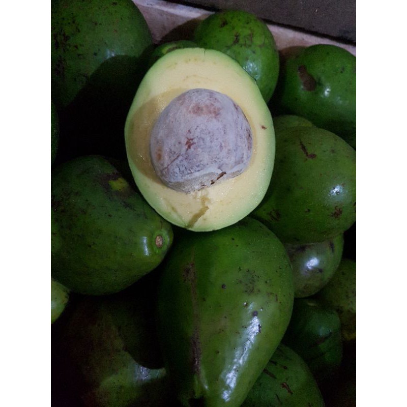 

alpukat mentega