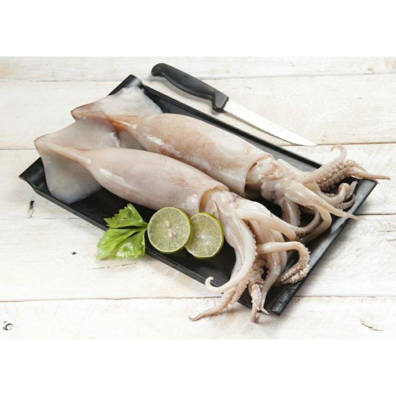 

cumi sotong segar Fresh berkualitas 1kilogram