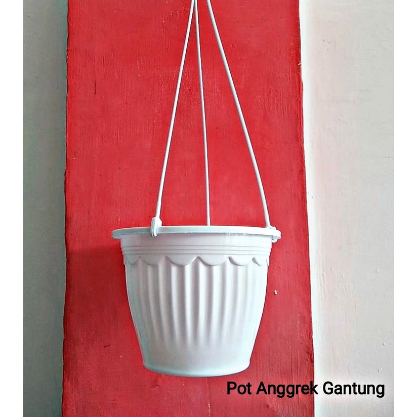POT GANTUNG ANGGREK POT BUNGA PUTIH POT TANAMAN