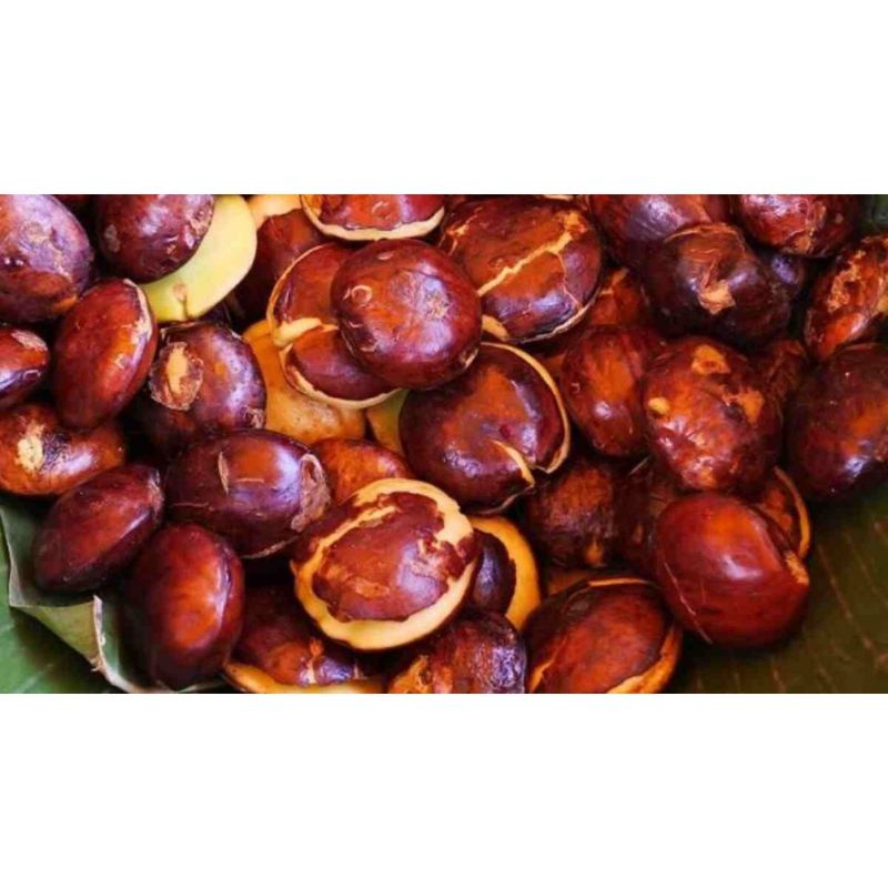 

Jengkol 250gr