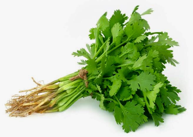 

RB DAUN KETUMBAR / WANSUI / CORIANDER / CILANTRO PER IKAT 100 Gr