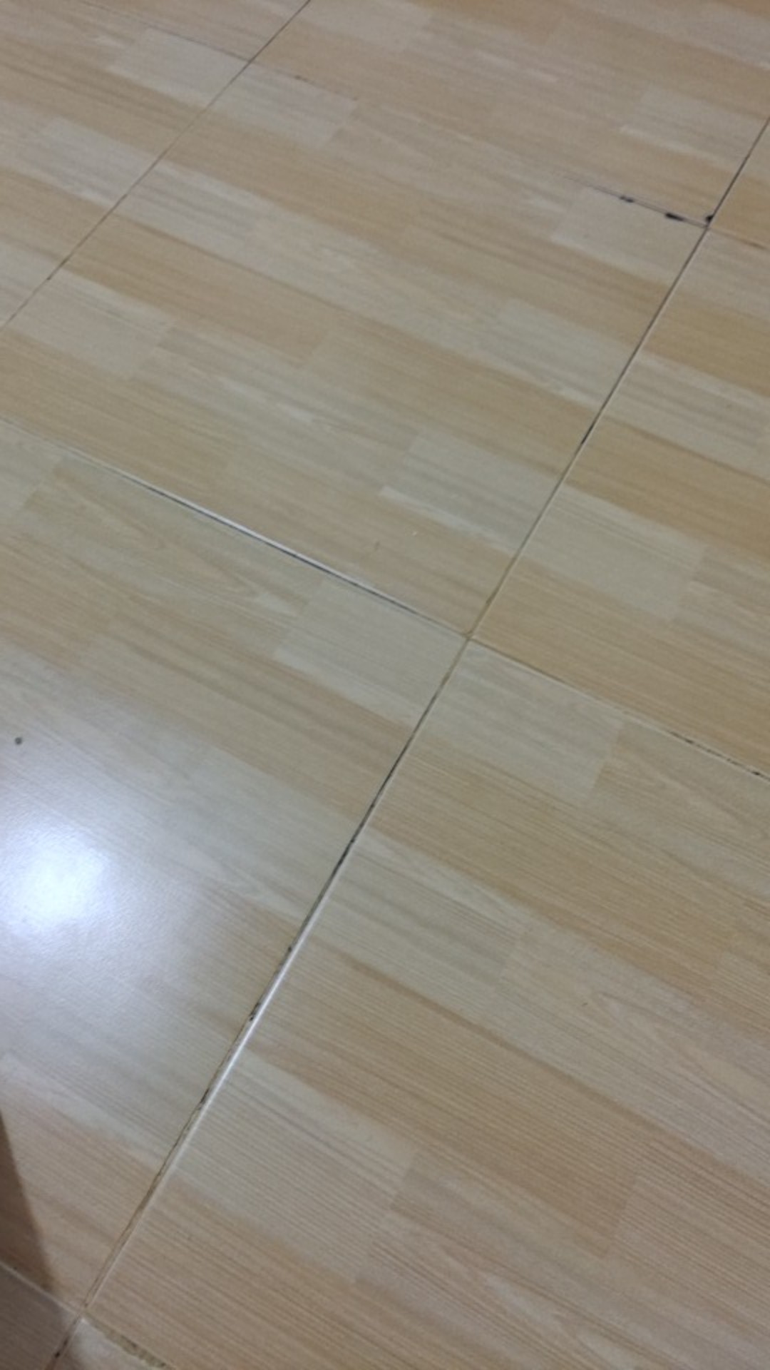 Veggie Roll (1 Pcs) Parutan Kentang Tupwr