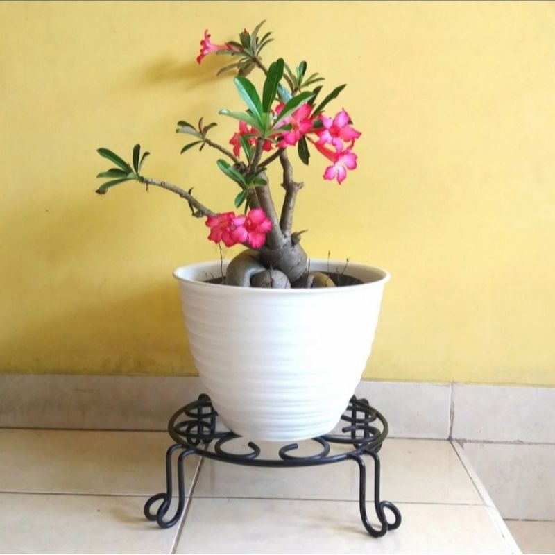Stand Planter,Rak Bunga Besi,Tatakan Pot 30D Cm,Cat Powder Coating,Emas Metalik