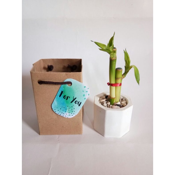 [ GROSIR LEBIH MURAH ] PAKET LENGKAP MURAH BAMBU HOKI | SOUVENIR BAMBU HOKI | SOUVENIR WEDDING MURAH